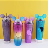 Multi Color tumbler with Straw