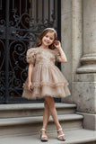 Baby Girls Causal Dress With Hair Band Cute Chic Floral Embroidery Mesh Dress Elegant Stylish Dress For Infant Girls'